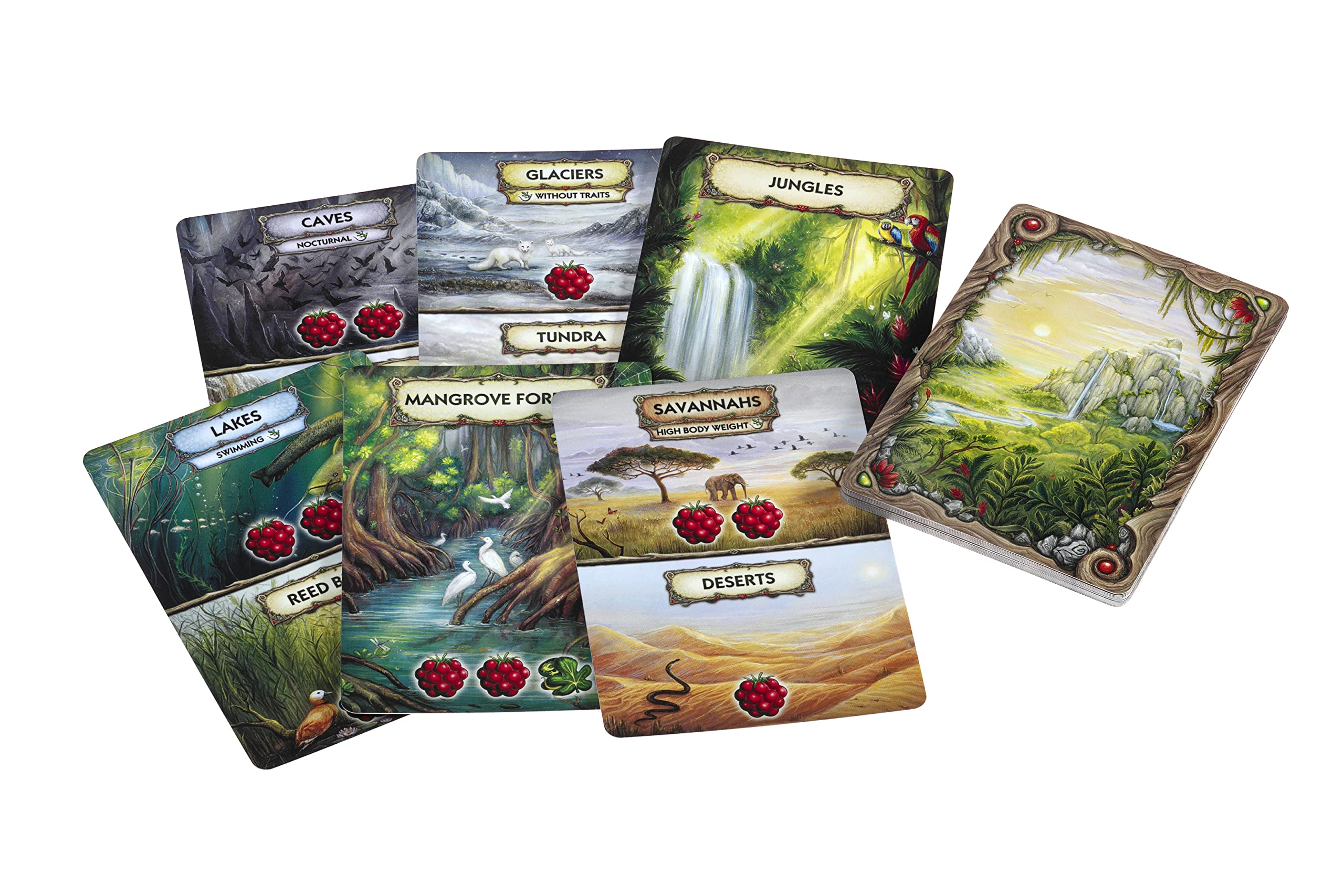 Amazon | 進化:新世界ボードゲーム | 2~4人用 | 対象年齢11歳